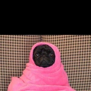 Meet your Posher, Matt